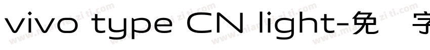 vivo type CN light字体转换